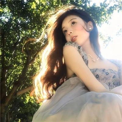 鸡毛梦想