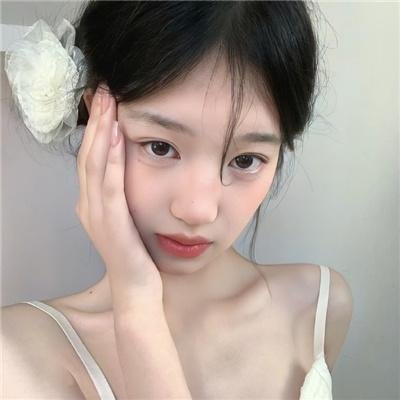 我的会长大人