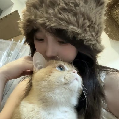 海龟们